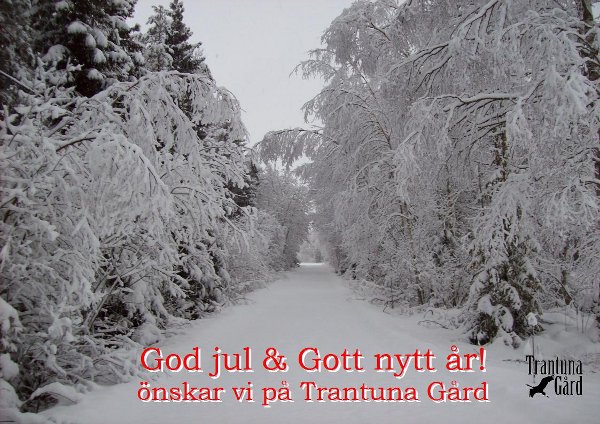 God jul från Trantuna Gård