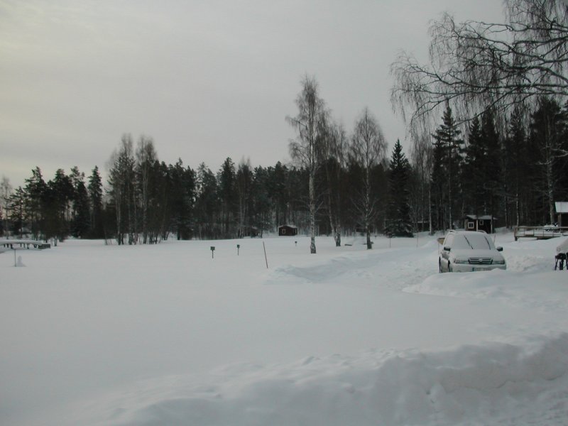 Mera skog